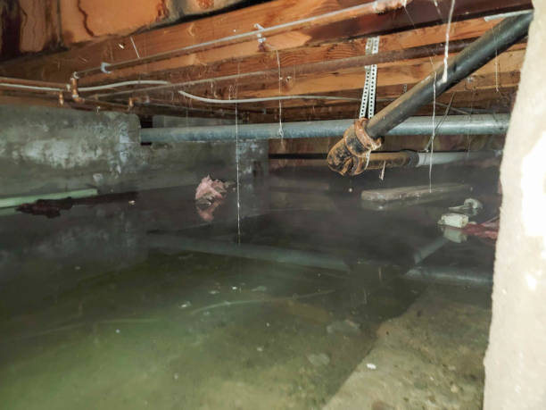 Best Water damage restoration process  in Red Bank, TN