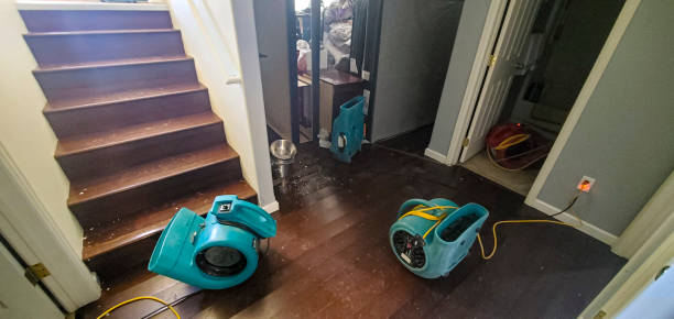 Best Flooded house restoration  in Red Bank, TN