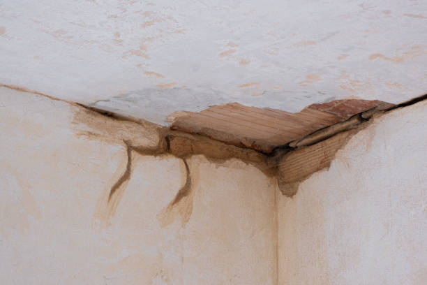 Best Local water damage restoration  in Red Bank, TN