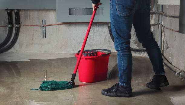Best Commercial water damage restoration  in Red Bank, TN