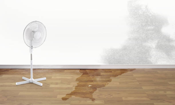 Best Water damage restoration near me  in Red Bank, TN
