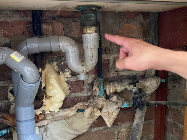 Best Water damage contractors near me  in Red Bank, TN