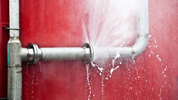 Best Sewage cleanup and water damage restoration  in Red Bank, TN